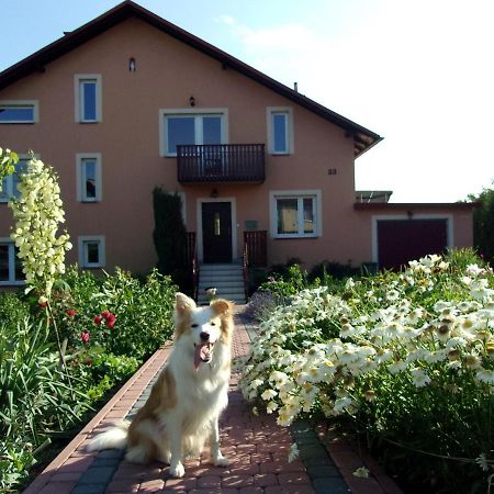 Agroturystyka U Basi Wola Kalinowska Exteriér fotografie